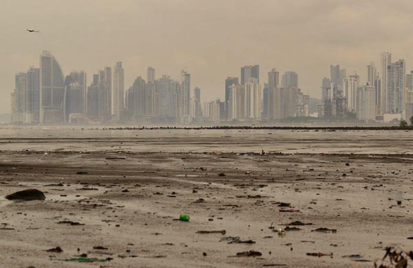 城市污泥烘干機(jī)市場(chǎng)分析 城市污泥烘干機(jī)市場(chǎng)分析