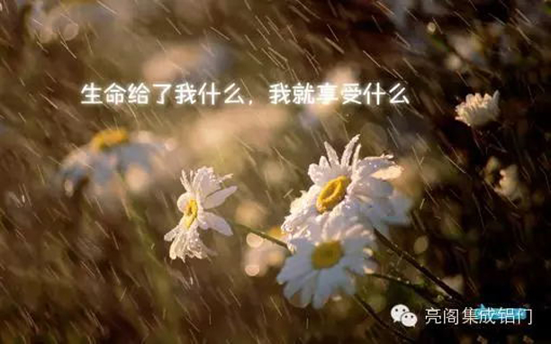亮閣門窗,生命給了我什么，我就享受什么