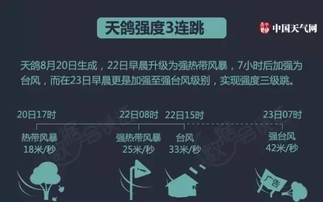 “鴿斯拉”強(qiáng)勢來襲，顛覆了我對門窗的價值觀，終于知道為什么都選亮閣門窗了！