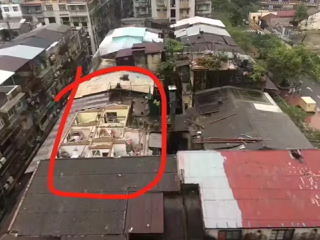 “鴿斯拉”強(qiáng)勢來襲，顛覆了我對門窗的價值觀，終于知道為什么都選亮閣門窗了！