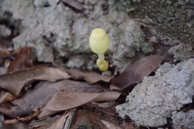 亮閣門窗|青春不朽，勇攀高峰；不登將軍亭，枉游北嶺山。