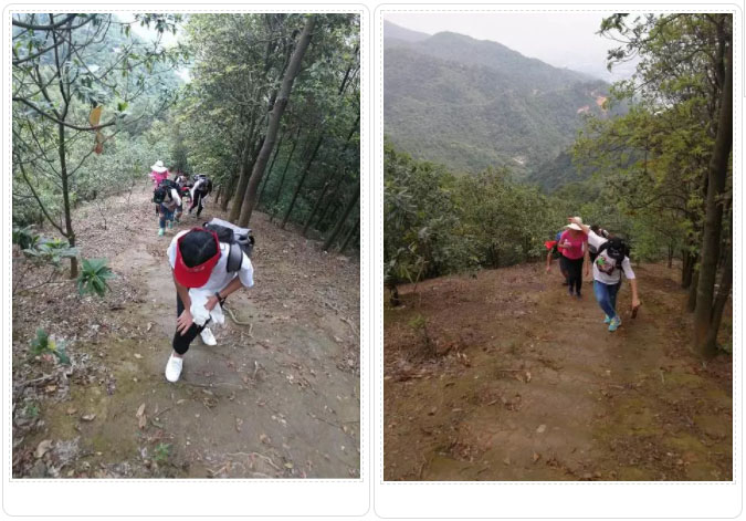 亮閣門窗|青春不朽，勇攀高峰；不登將軍亭，枉游北嶺山。